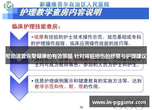 帮助波普恢复健康的有效策略 针对肾脏损伤的修复与护理建议