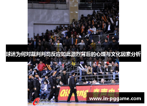 球迷为何对裁判判罚反应如此激烈背后的心理与文化因素分析