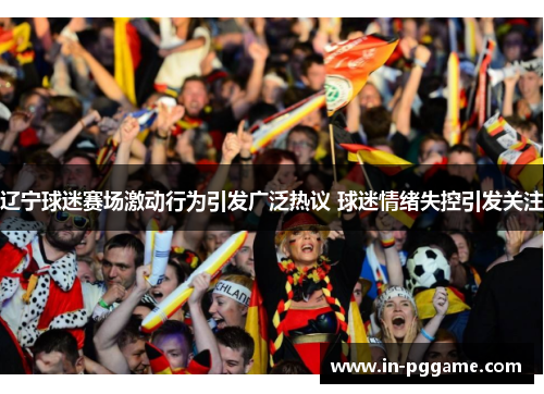 辽宁球迷赛场激动行为引发广泛热议 球迷情绪失控引发关注