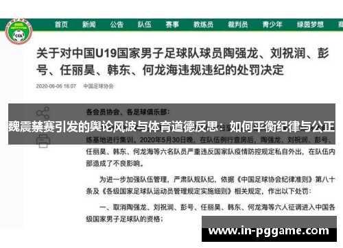 魏震禁赛引发的舆论风波与体育道德反思：如何平衡纪律与公正