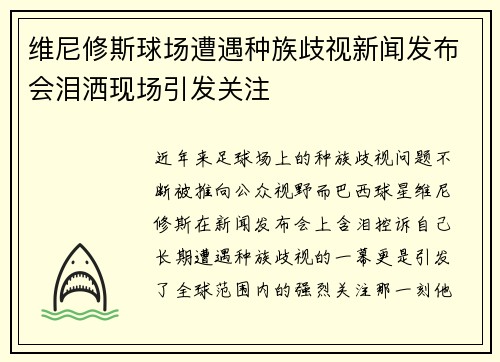 维尼修斯球场遭遇种族歧视新闻发布会泪洒现场引发关注
