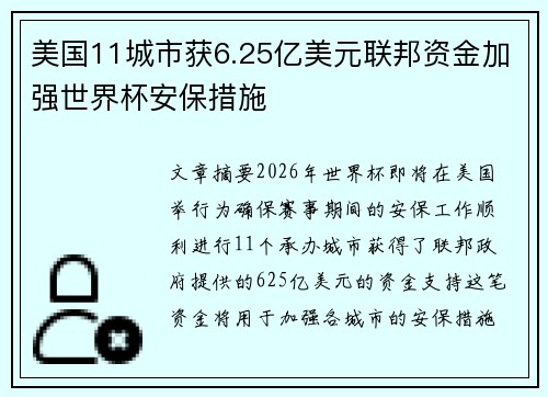 美国11城市获6.25亿美元联邦资金加强世界杯安保措施